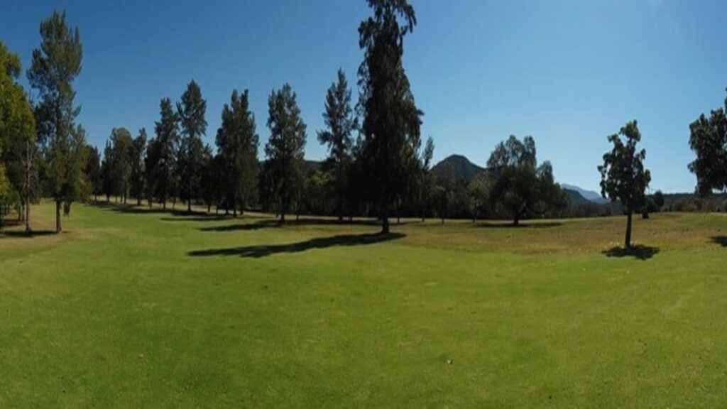 Split Tee-off at the Hankey Golf Course