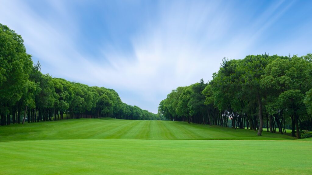 Golf Course Fairway